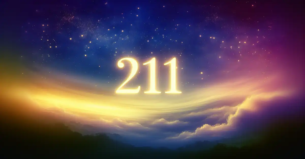 211 number meaning
