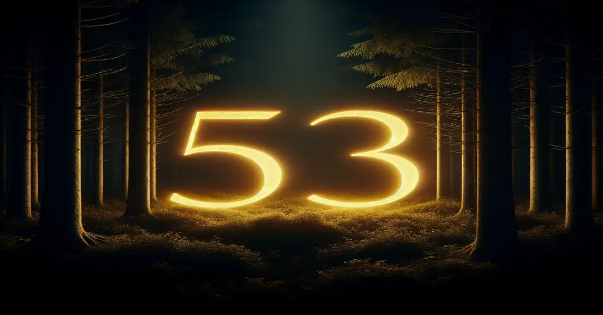 533 angel number meaning