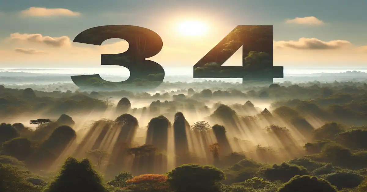 344 angel number meaning