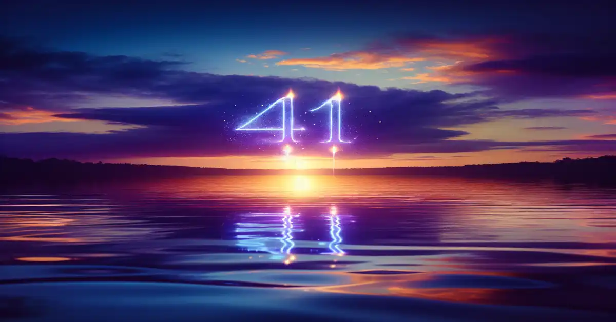 411 number meaning