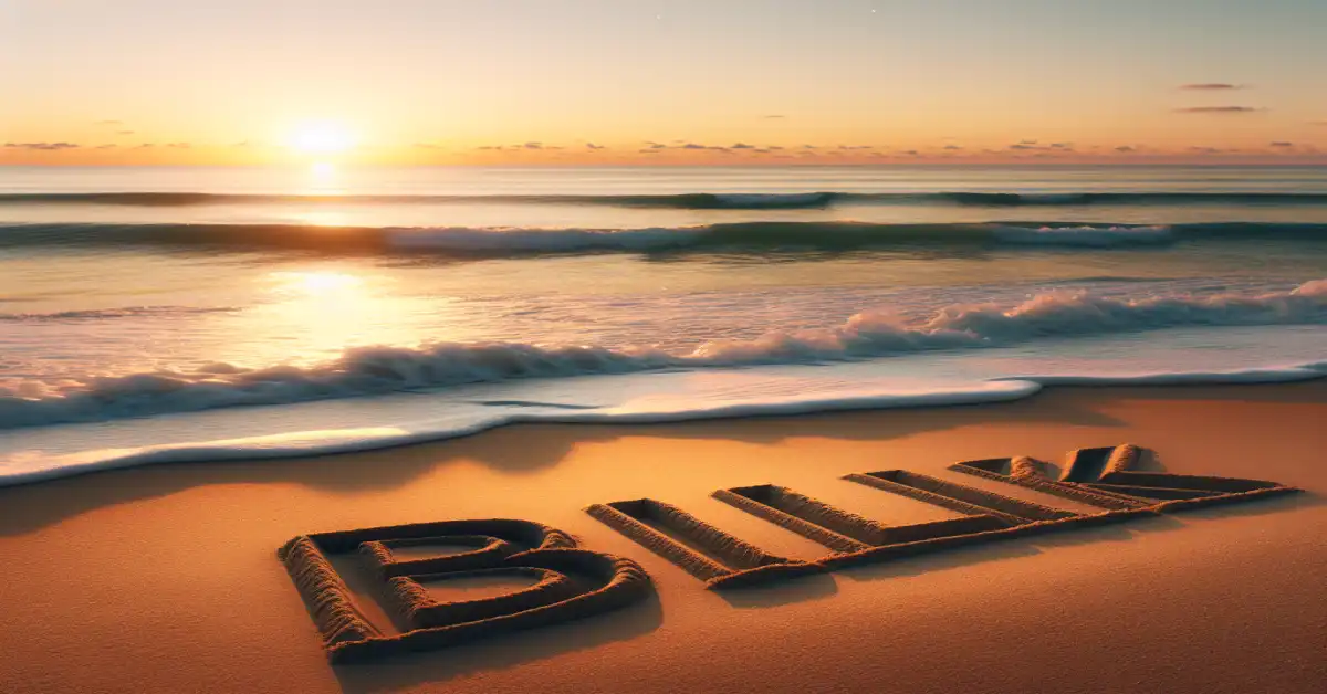 what does bulk mean in text related